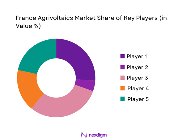 France Agrivoltaics Market Share of Key Players