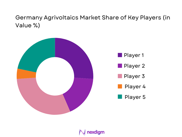 Germany Agrivoltaics Market Share of Key Players