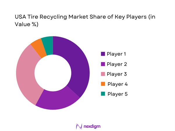USA Tire Recycling Market Share of Key Players