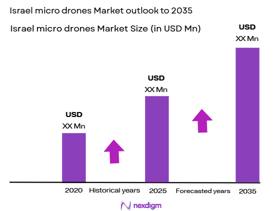 Israel micro drones Market Size