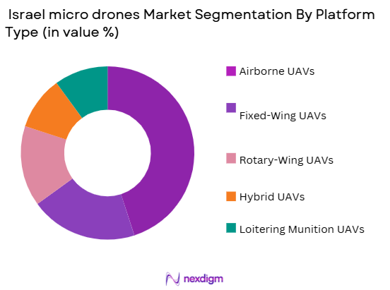 Israel micro drones Market segmentation by platform type