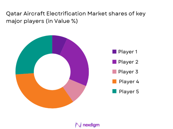 Qatar Aircraft Electrification Market major players.docx