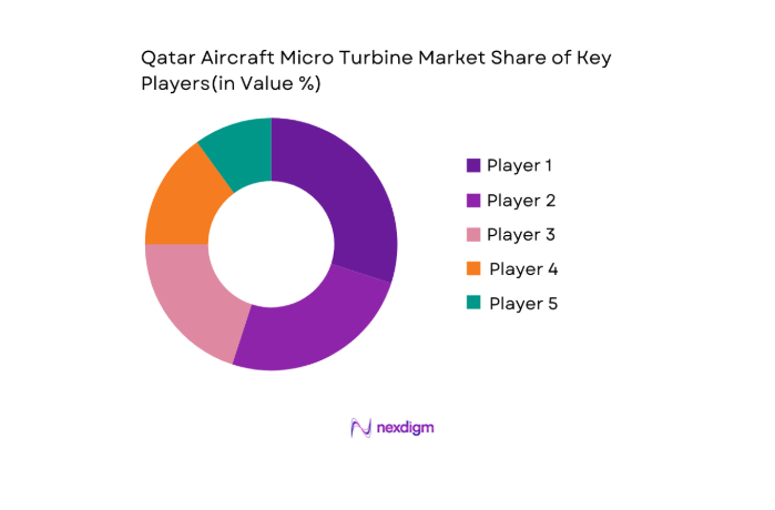 Qatar Aircraft Micro Turbine Market key players