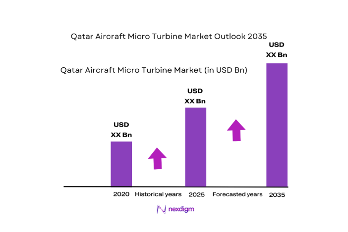 Qatar Aircraft Micro Turbine Market size