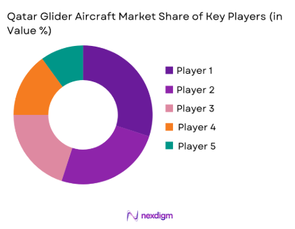 Qatar Glider Aircraft Market share of key players
