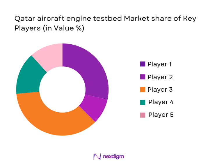 Qatar Aircraft Engine Testbed Market Share