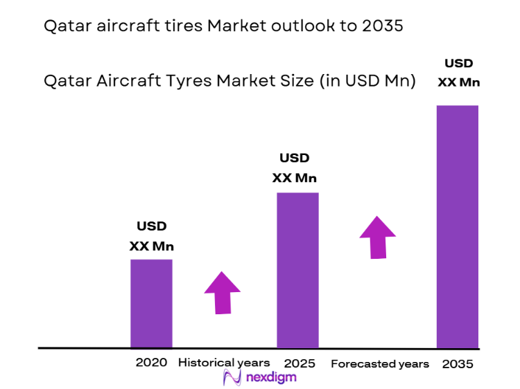 Qatar Aircraft Tyres Market Size