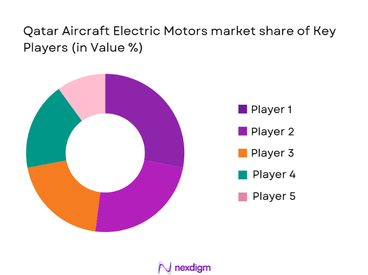 Qatar Aircraft Electric Motors Market Share