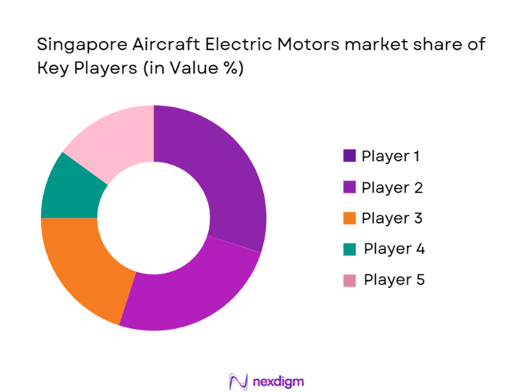Singapore Aircraft Electric Motors Market Share