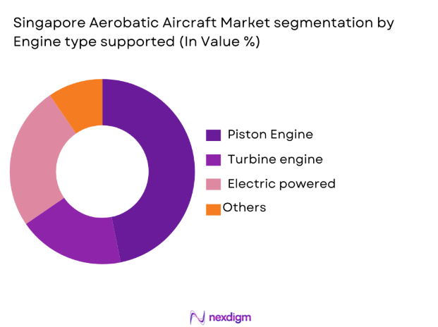Singapore Aerobatic Aircraft market segmentation by engine type