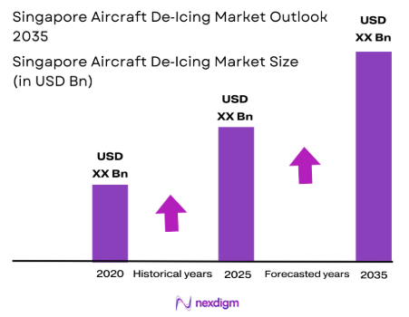 Singapore Aircraft De-Icing Market Size