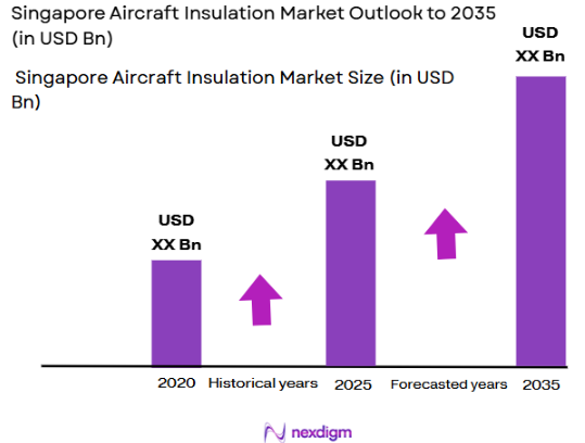 Singapore Aircraft Insulation Market Size