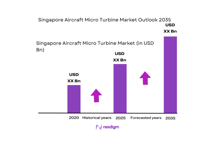 Singapore Aircraft Micro Turbine Market size