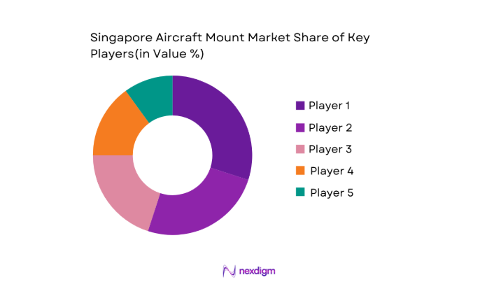 Singapore Aircraft Mount Market key players