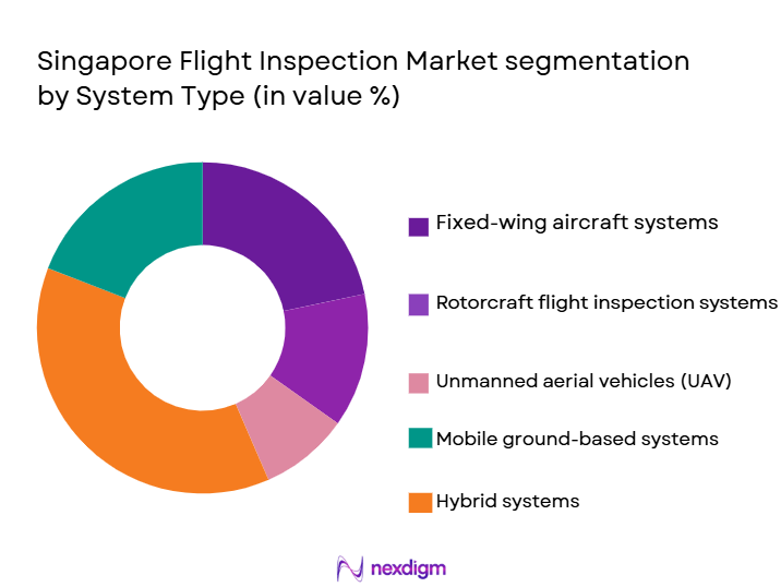 Singapore-Flight-Inspection-Market-segmentation-by-System-Type