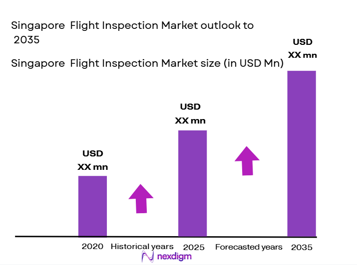 singapore-Flight-Inspection-Market-siz