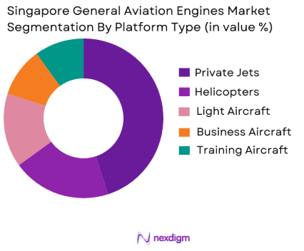 Singapore General Aviation Engines  Market by platform type