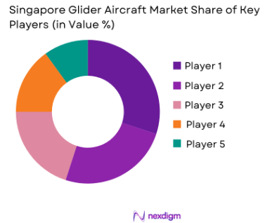Singapore Glider Aircraft Market share of key players