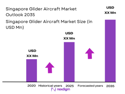 Singapore Glider Aircraft Market size