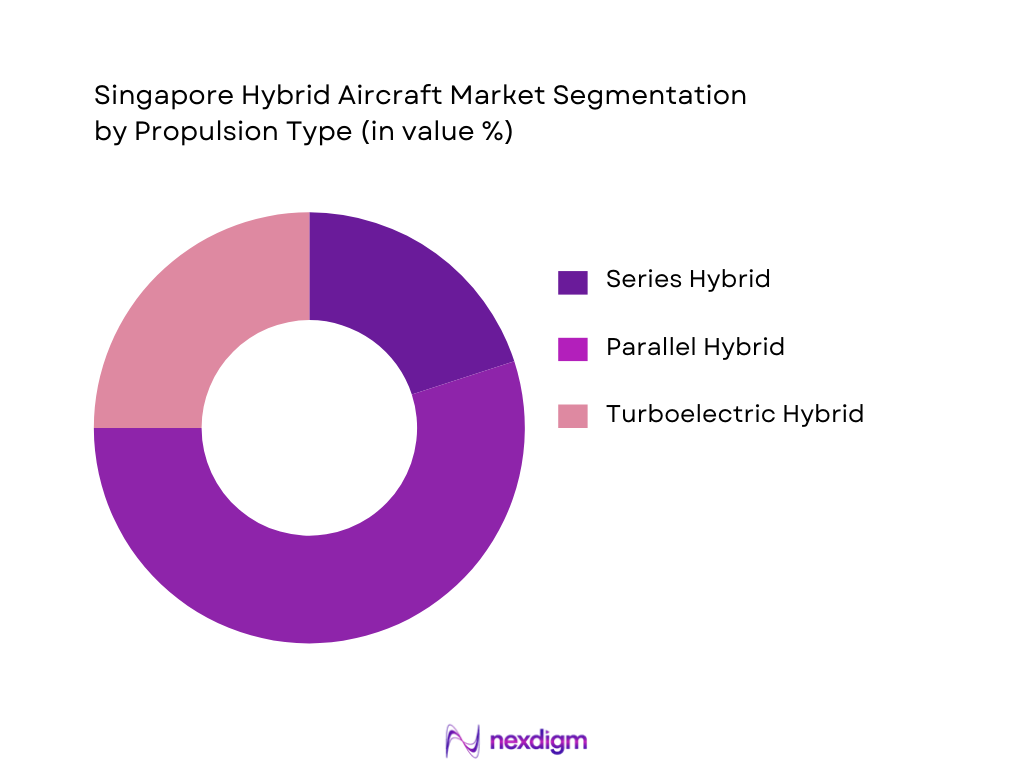Singapore Hybrid Aircraft Market Segmentation by Propulsion Type