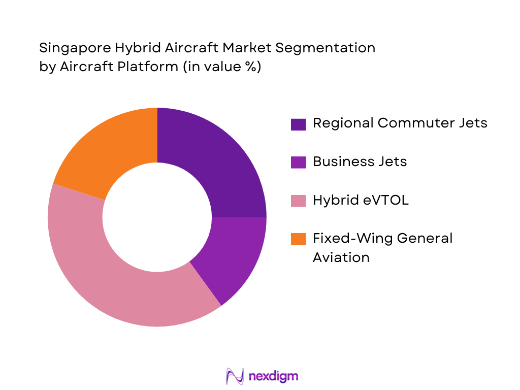 Singapore Hybrid Aircraft Market Segmentation by Aircraft Platform 