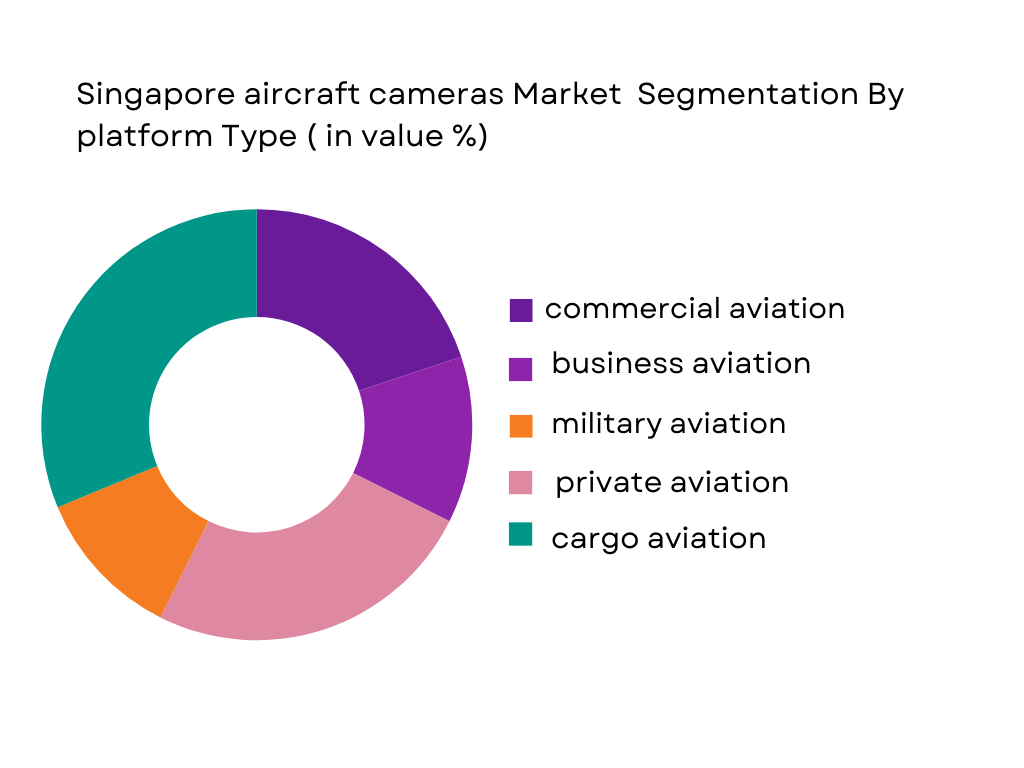 Singapore aircraft cameras market segmentation by platform type