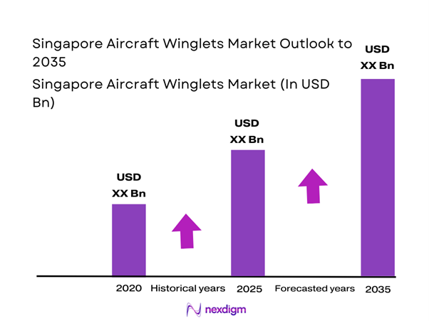 Singapore aircraft winglets Market Size