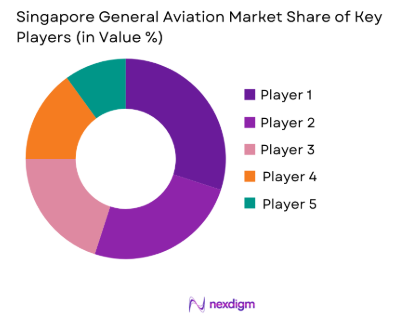 Singapore general aviation market share of key players
