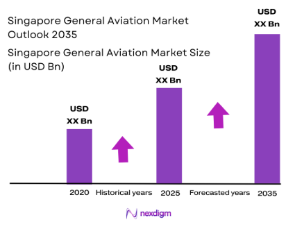 Singapore general aviation market size