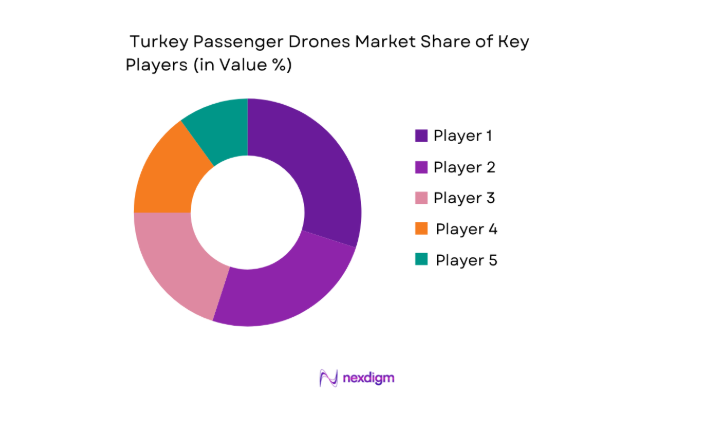 Turkey Passenger Drones Market key players