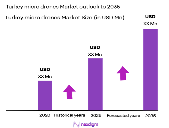 Turkey micro drones Market Size