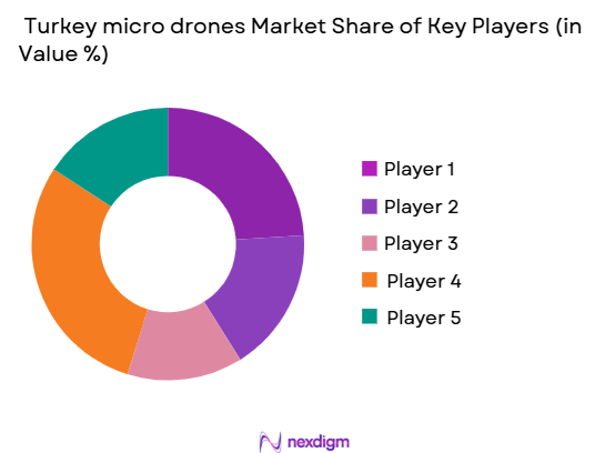 Turkey micro drones Market share of key players
