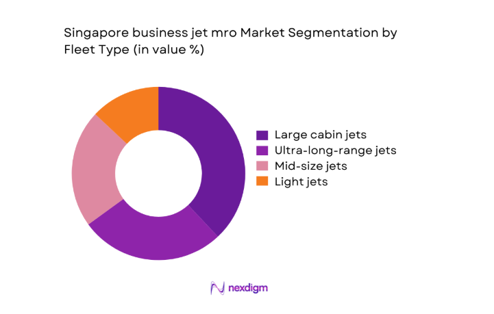 Singapore business jet mro Market segment by fleet