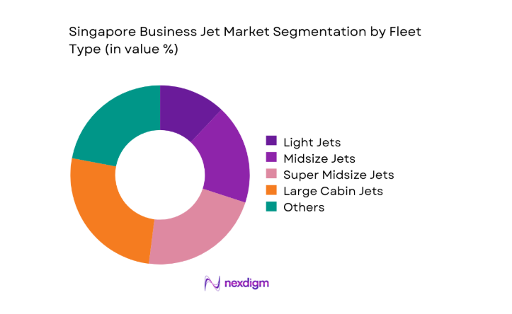 Singapore business jet Market segment by fleet