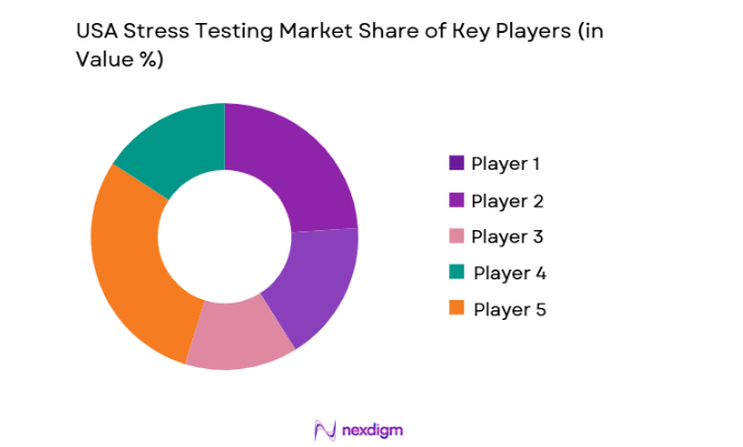 USA Stress Testing Market share