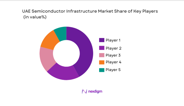 UAE Semiconductor Infrastructure Market share