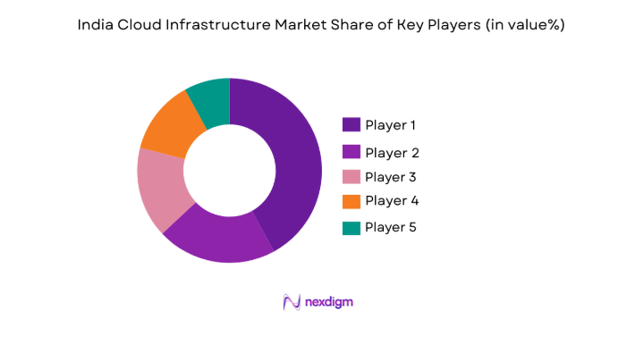 India Cloud Infrastructure Market share