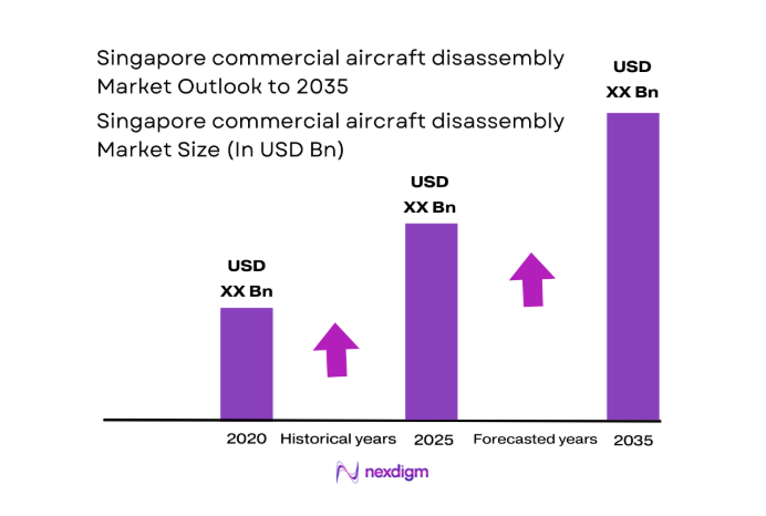 Singapore commercial aircraft disassembly Market size