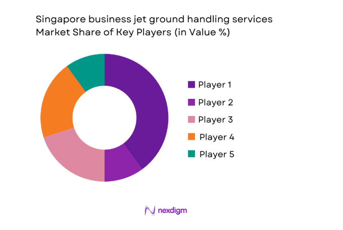 Singapore business jet ground handling services Market share