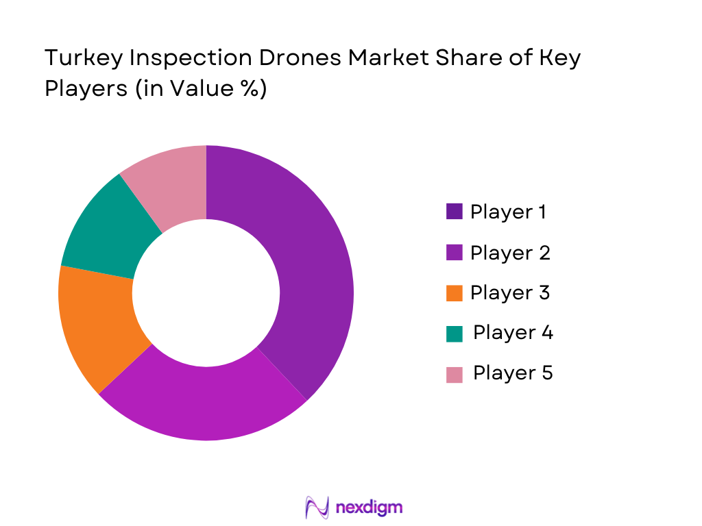 turkey inspection drones market share of key players