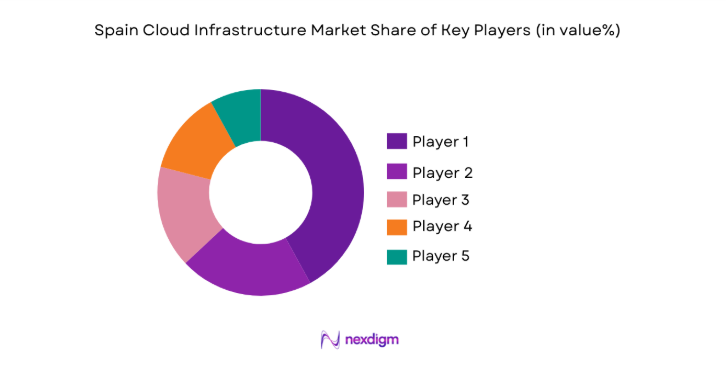 Spain Cloud Infrastructure Market share
