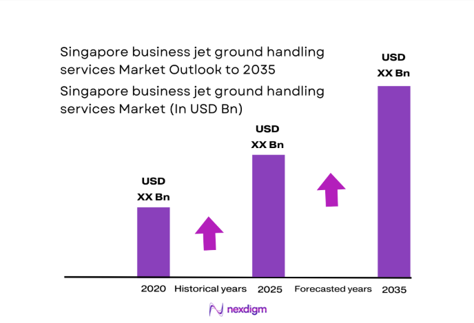 Singapore business jet ground handling services Market size