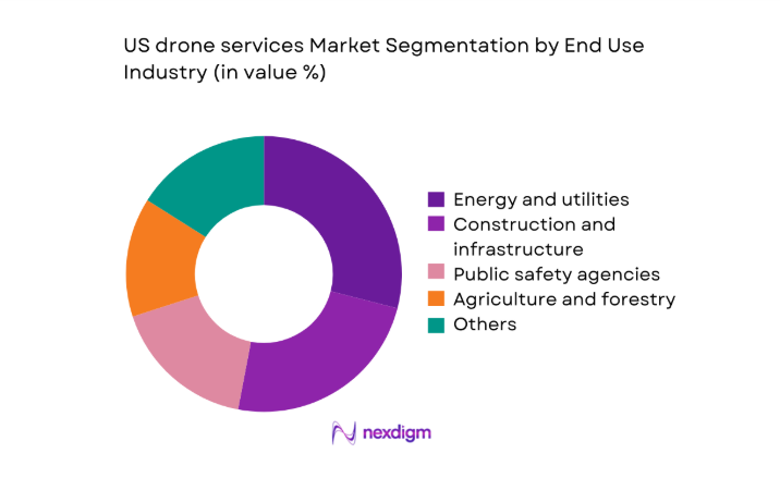 US drone services Market segment by end use