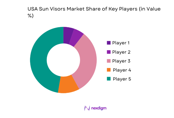 USA Sun Visors Market share