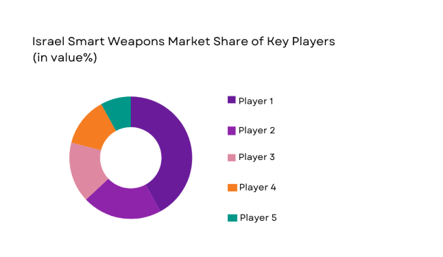 Israel Smart Weapons Market share