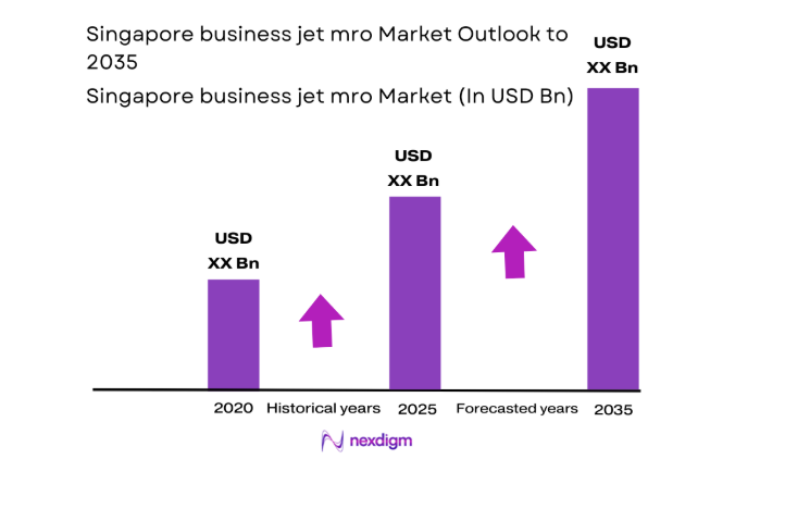 Singapore business jet mro Market size