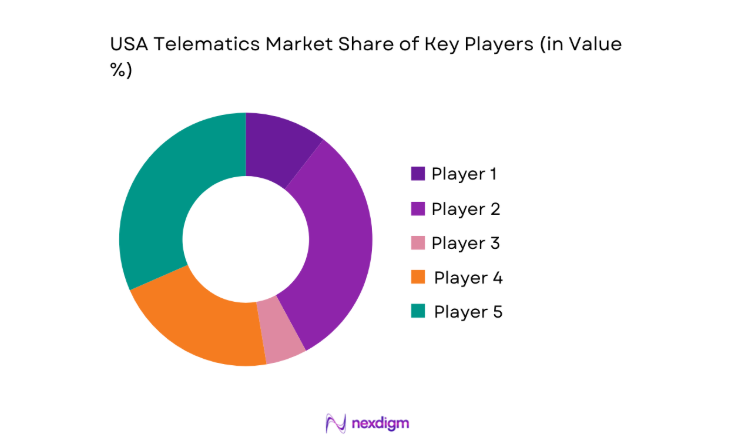 USA Telematics Market share