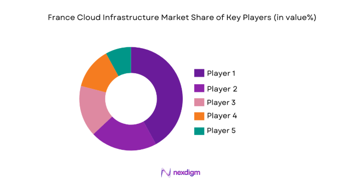 France Cloud Infrastructure Market share