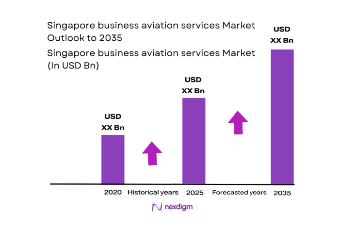 Singapore business aviation services Market size