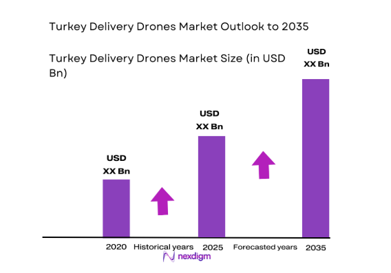 Turkey Delivery Drones Market size